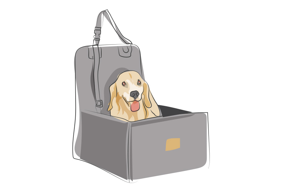 Pasajeros De Cuatro Patas
