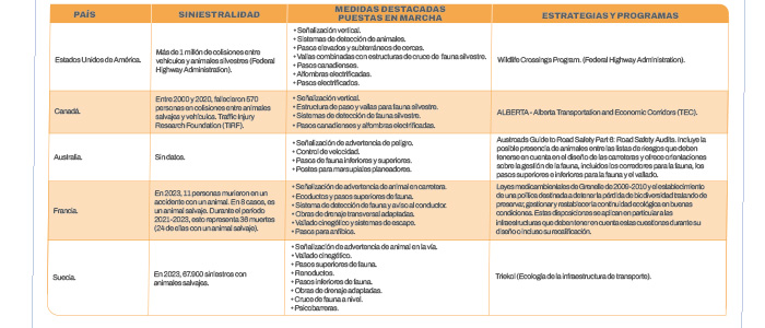 MÁS Estrategias Coordinadas Y Medidas Efectivas