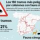 Ten Cuidado, Si Circulas Por Estas Carreteras Tienes Mayor Riesgo De Accidente Con Animales De Caza
