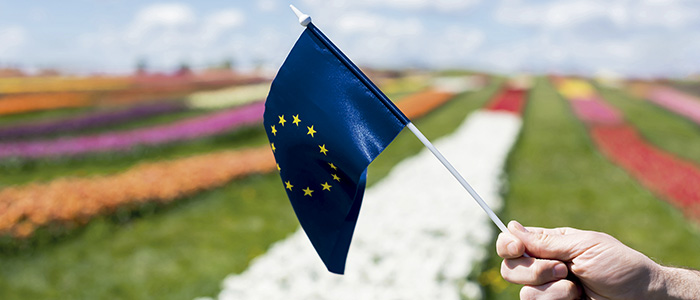 &Iquest;CÓMo Funciona En Europa?